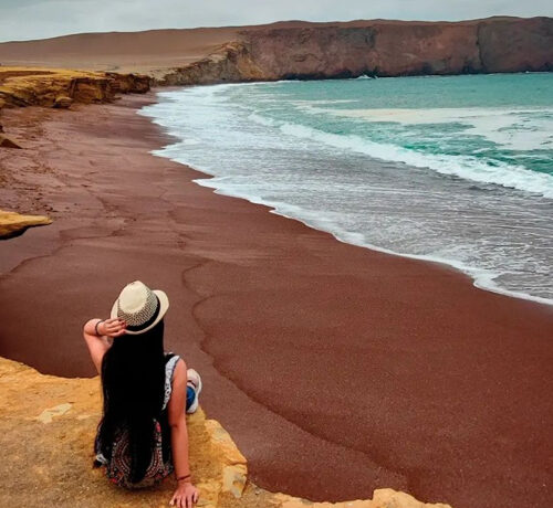 Tour Aventura Reserva nacional de Paracas 4hrs