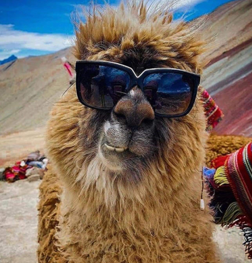 Cusco 6D/5N (City Tour + Valle Sagrado + Machupicchu + Laguna Humantay + Montaña de Colores)
